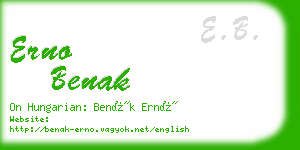 erno benak business card